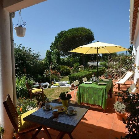 Happy Cat House - Holiday Rental São Martinho do Porto Zewnętrze zdjęcie