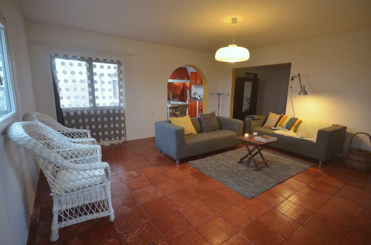 Happy Cat House - Holiday Rental São Martinho do Porto Zewnętrze zdjęcie