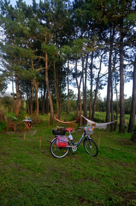 Happy Cat House - Holiday Rental São Martinho do Porto Zewnętrze zdjęcie