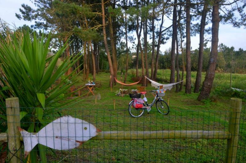 Happy Cat House - Holiday Rental São Martinho do Porto Zewnętrze zdjęcie