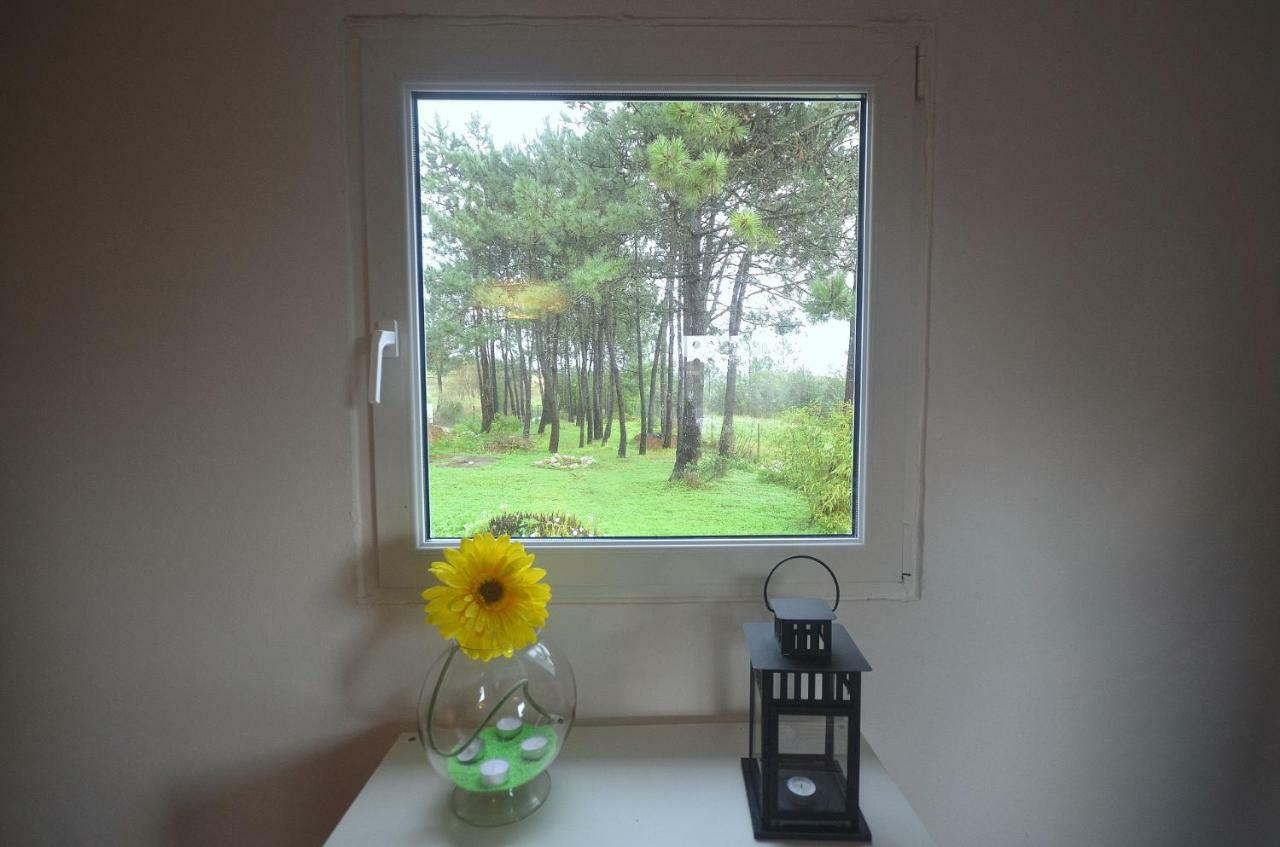 Happy Cat House - Holiday Rental São Martinho do Porto Zewnętrze zdjęcie